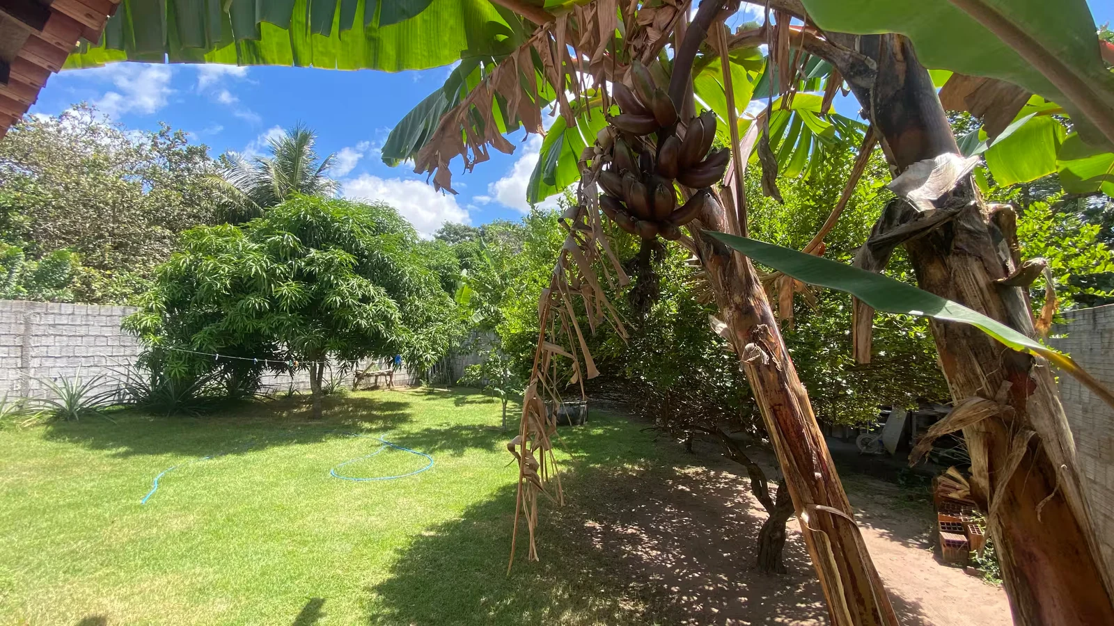 Jardim, casa em Jericoacoara