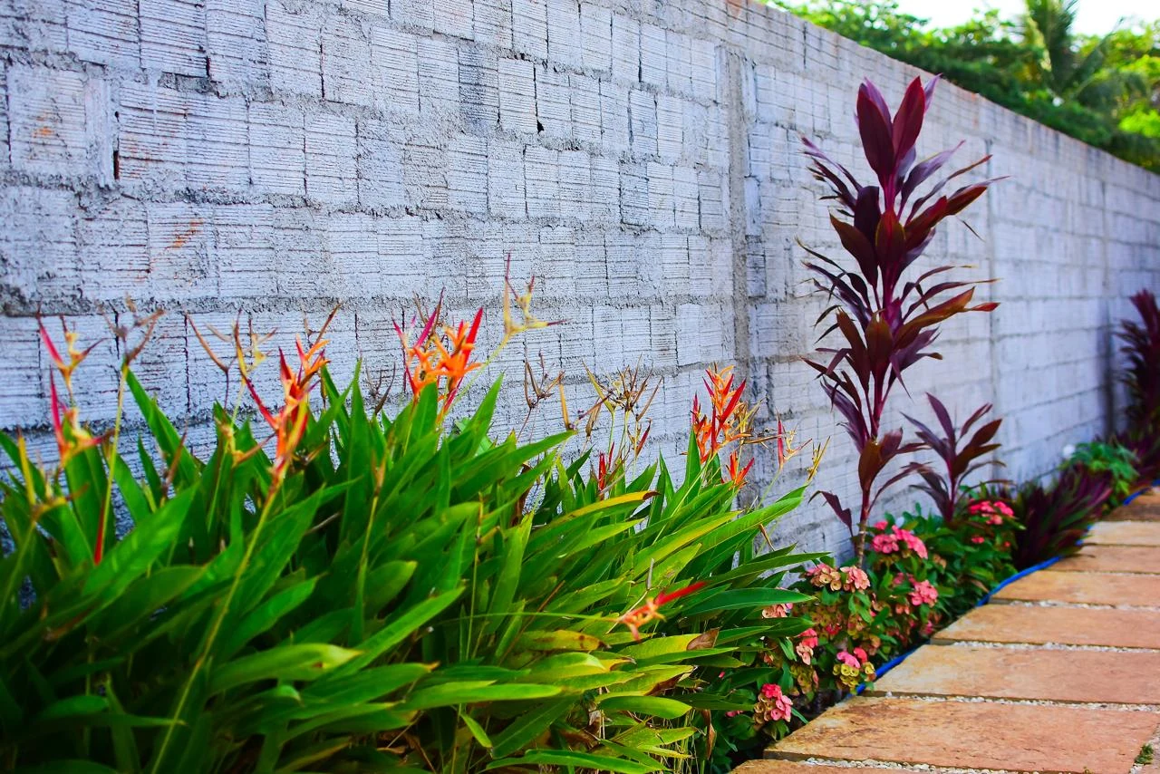 Canteiros ao longo do muro, casa em Jericoacoara